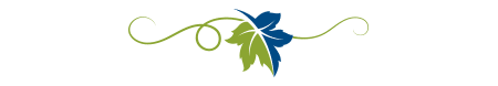 GRACE_Divider_Leaf Green and Blue leaf with vine illustration